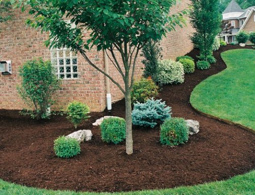 Mulching Tips and Tricks – More Essential Gardening Ideas